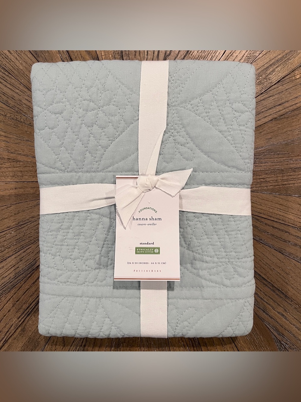 NWT Pottery Barn Hanna Cotton Sham Standard Size Beach Glass Light Blue
